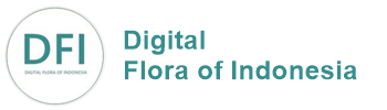 Digital Flora of Indonesia